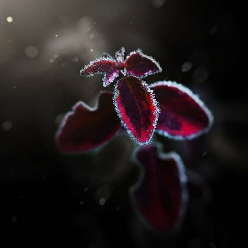 ﺍﯾﻦ ﺩﯾﻮﻭﻧﻪ حس ﺩﺍﺷﺖ ﺍﻣﺎ ﺷﺪﺵ ﺷﯿﻄﺎﻥ ﺍﯾﻦ ﺩﯾﻮﻭﻧﻪ ﺍﯼ ﮐﺎﺵ ﺍﯾﻦ ﺩیوونه